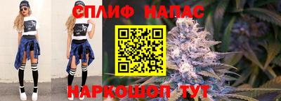 COCAINE Можга