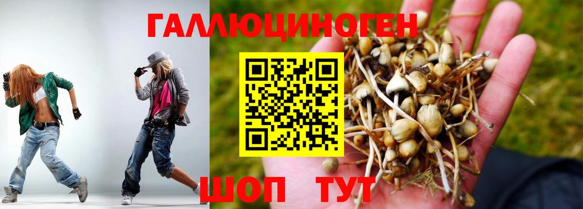 Галлюциногенные грибы мицелий Торжок